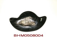 BHM0508004