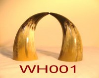 WH001-1